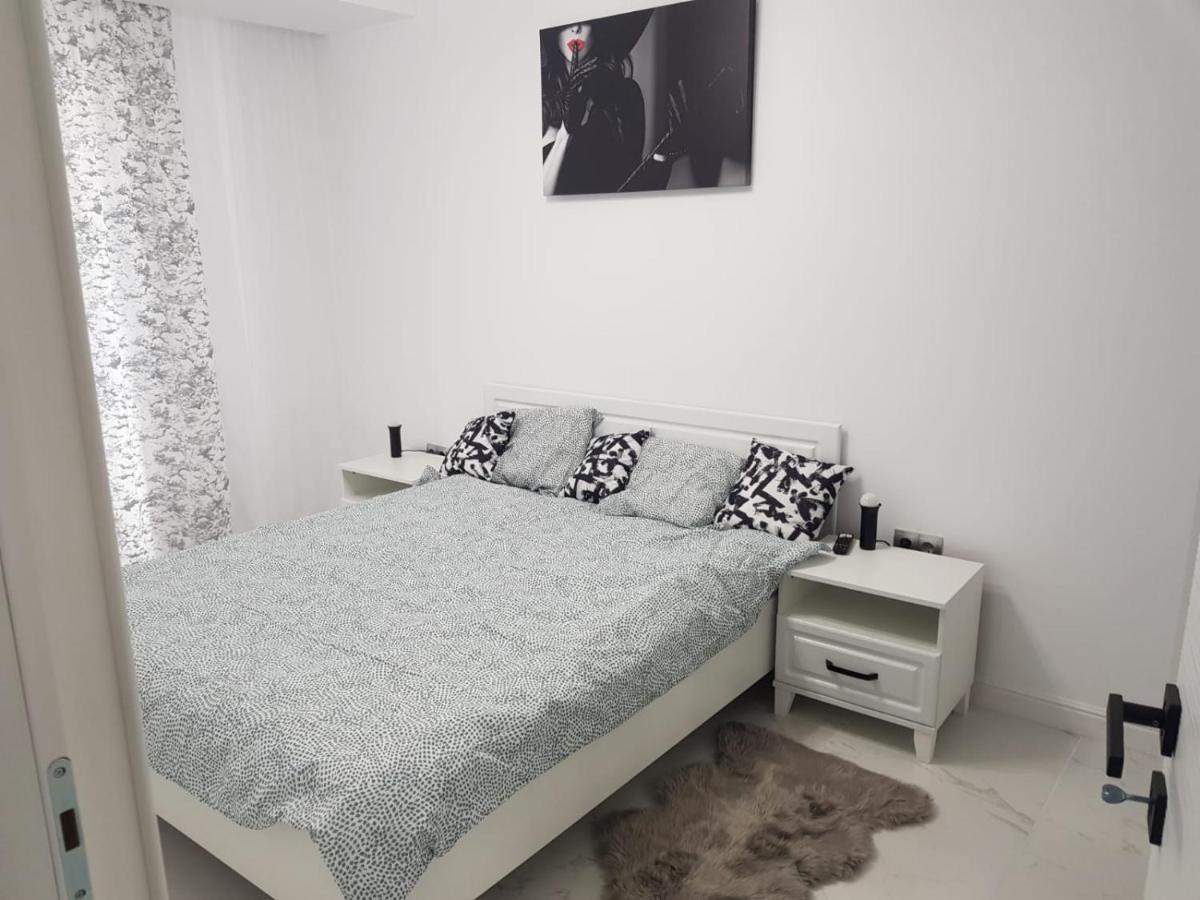 New Transilvania Apartment Клуж-Напока Экстерьер фото